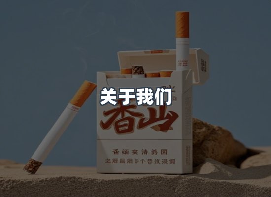 专业团队